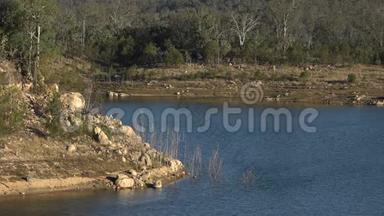 白天，昆士兰州托沃姆巴地区的乌鸦巢湖<strong>坚持不懈</strong>。