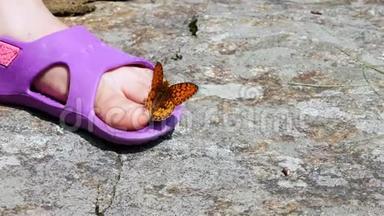 特写镜头，一只美丽的橘山蝴蝶在凉鞋中旋转着，飞过一个孩子`腿.. 蝴蝶坐在上面