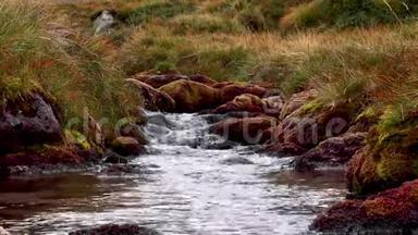 今年8月，在苏格兰的凯恩斯国家公园，温柔的阿尔特-斯奈阿赫达在山脊下面流动。