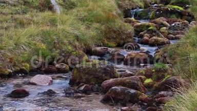 <strong>今年</strong>8月，在苏格兰的凯恩斯国家公园，温柔的阿尔特-斯奈阿赫达在山脊下面流动。
