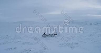 在北极的中部，许多蒙古包在<strong>野外</strong>拍摄无人机的<strong>视频</strong>。