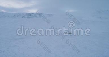 西伯利亚的景观，一个人驾驶雪橇与驯鹿惊人的视频从无人机。