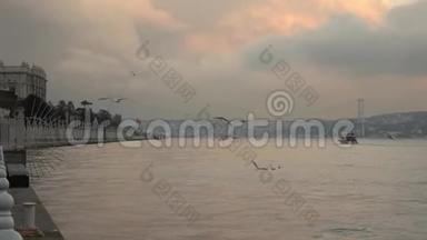 博斯普鲁斯海峡的海景和7月15<strong>日烈士</strong>桥的背景，夕阳多云的天空与飞鸟。