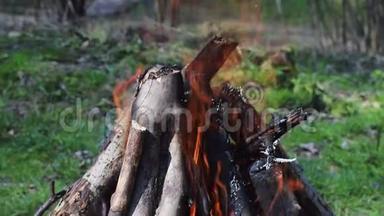 在森林里用木头烧火。 火灾背景下森林中的绿色草坪