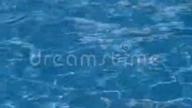 喂食五颜六色的花式鲤鱼鱼的锦鲤鱼挤在游泳池里争夺食物，全高清。 蓝色和明亮的涟漪缓慢移动