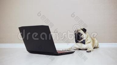 一只可爱的小狗看着<strong>笔记本</strong>电脑的屏幕，穿着蝴蝶，看着电影，在<strong>笔记本</strong>电脑上吠叫