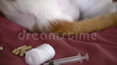药片，<strong>纱布</strong>和注射器旁边受伤的猫。 动物创伤