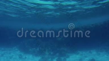 4k摄像机在沙海<strong>海底</strong>珊瑚礁上移动的慢动作<strong>视频</strong>