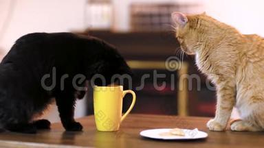 一个木制工作台上的空白平板设备，桌上有一杯茶和一只<strong>猫</strong>。<strong>猫咖啡</strong>馆。