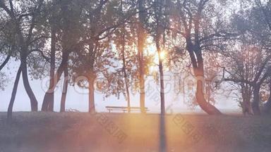 早晨，一位年轻女子在浓雾中沿着河岸在一个城市公园慢跑。 <strong>任何天气</strong>的健康生活方式
