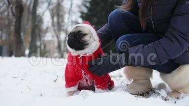 女人在雪地公园抚摸<strong>小狗</strong>。 狗穿着圣诞老人的<strong>衣服</strong>，穿着一套带帽子的红色西装，在寒冷的天气里在户外