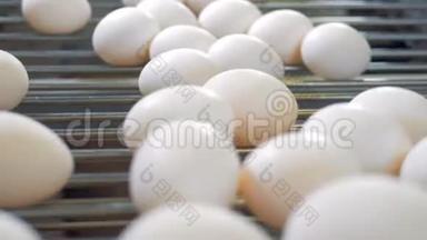 家禽<strong>养殖场</strong>的新鲜鸡蛋。 鸡蛋在<strong>农场</strong>的传送带上。