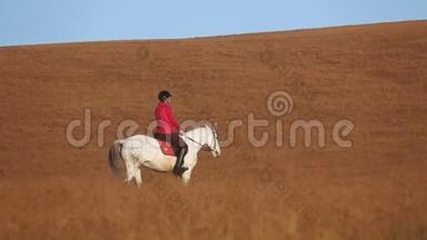 女人骑着马，在田野里拥抱。 慢动作。 侧视图