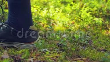 穿着运动鞋`男人的双腿穿过林间空地。