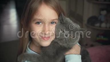 那个漂亮的女孩在家玩一只灰色的<strong>猫</strong>。 <strong>异国</strong>情调的<strong>短毛猫</strong>。
