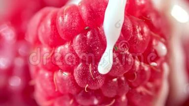 慢镜头将粘稠的白色酸奶或奶油或牛奶倒入成熟的新鲜红树莓中