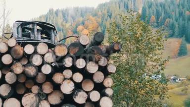 <strong>一</strong>棵树干<strong>整齐</strong>地<strong>排</strong>成<strong>一排</strong>。 在山路上用卡车运输木材。