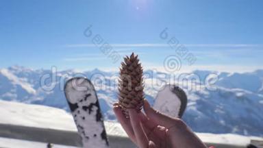 滑雪背景下雪山冬季的皮涅酮特写