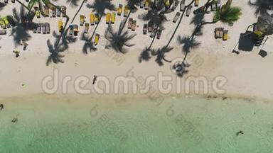 带椰子棕榈树和美丽海岸线的热带海滩鸟瞰图
