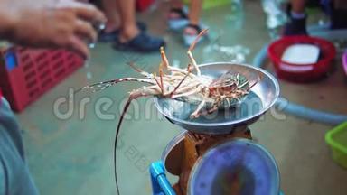 亚洲的夜间食品市场，鳞虾搅动爪子，向餐馆和旅行者出售海鲜，异国风味的菜肴