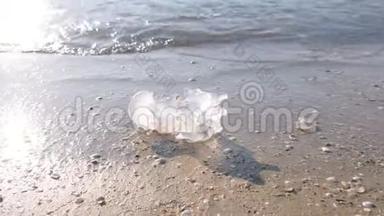 美杜莎水母在沙滩上的海浪。