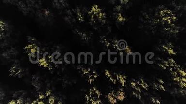 空中观景台。 飞过森林里美丽的秋树.. 空中摄影机拍摄。 秋天/秋天的风景。 4k