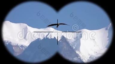大鹰鸟飞过喜马拉雅山脉，通过望远镜看到。 野生动物野生动物园观鸟