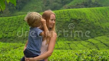 一名年轻女子和她的儿子参观<strong>高地</strong>茶园的慢镜头。 <strong>新</strong>鲜，茶的概念