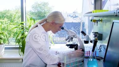 在实验室工作的科学家。 女医生做<strong>医学研究</strong>。 实验室工具：显微镜、试管、设备
