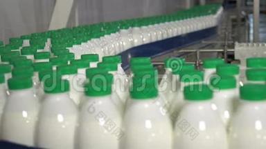 瓶子里的牛奶在传送带上移动。 牛奶厂传送带上有绿色帽子的牛奶。
