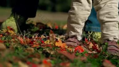 小宝宝脚踩着秋黄红叶散在草地上..