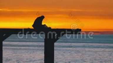 一个孤独的人坐在海边的码头上对抗日落的剪影