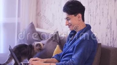 在笔记本电脑上工作的自由职业者。 一个人抚摸一只猫，玩它。 宠物