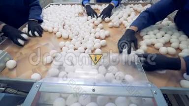 鸡蛋是在农场分类的。 人们把鸡蛋包装成特殊的盒子在家禽<strong>养殖场</strong>出售。
