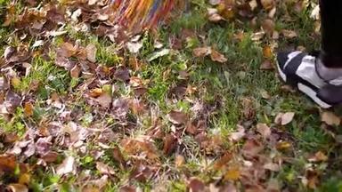 秋季时清理花园地面上五颜六色的黄色和橙色干叶。 <strong>扫一扫</strong>