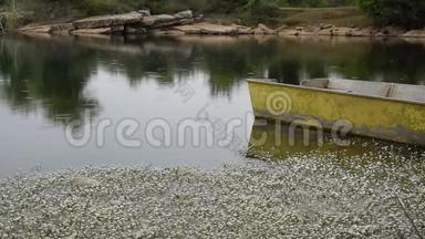 湖中小渔船的放松视野，带着野花的小雨坠入水中