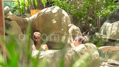 两名年轻女子在豪华水疗中心享受泥浆浴。 美丽的女人在泥浆水疗中心放松和洗澡，以护肤
