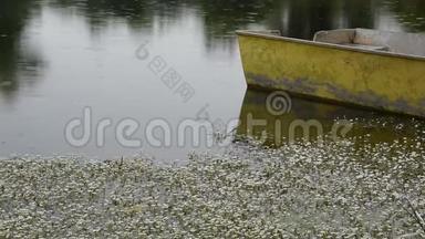 湖中小渔船的放松视野，带着野花的小雨坠入水中