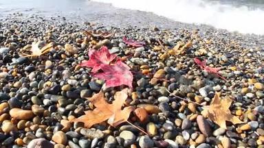 <strong>湿润</strong>的秋叶在鹅卵石滩上，海浪浸湿了树叶