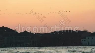 一<strong>群鸟飞过</strong>粉红色的夕阳天空。 历史建筑和港口的背景