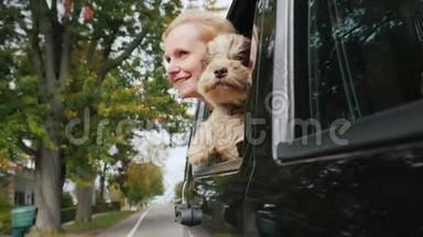 一个带着狗的女人一起从车窗外看。 带着宠物概念旅行