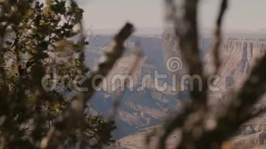 镜头移向树后，以揭示伟大峡谷的壮丽阳光全景，著名的自然<strong>地标</strong>亚利桑那<strong>美国</strong>。