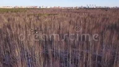 空中无人机直升机盘旋在天空上方的森林和城市街区的背景。 剪辑。 小型四架直升机