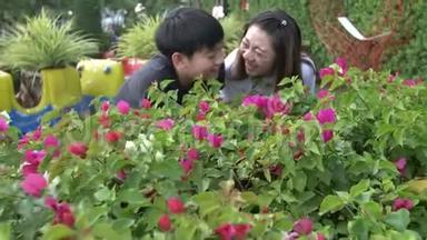 快乐的亚洲家庭母子看着粉<strong>红色</strong>的花。 记录<strong>手持</strong>式慢速运动在4K在60fps。