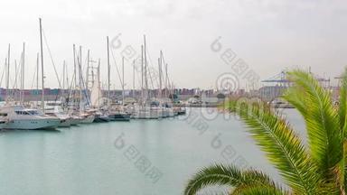 巴伦西亚港，帆船和游艇的所在地。 上午在港口旅游地，靠近帆船行走