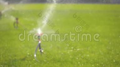 慢动作花园灌溉喷头浇水草坪离焦视图