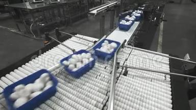 蘑菇生产。 生产线用蘑菇包装容器。 蓝色容器沿着传送带移动。 有机有机