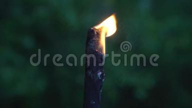 小火焰从木棍上点燃，映衬在绿油油的背景上