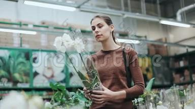 漂亮的年轻女人采摘带有兰花的盆栽花并嗅着它。 带有绿色植物的百货公司，用于家庭装饰