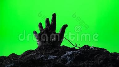 僵尸之手从地上浮现.. 绿色屏幕。 007